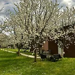 Tiny House 2 - Imanje Terzic * Podgorica