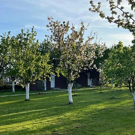 公寓 Tiny House 2 - Imanje Terzic