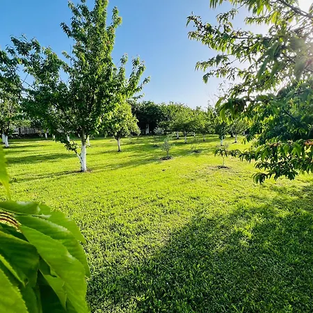 Tiny House 2 - Imanje Terzic *