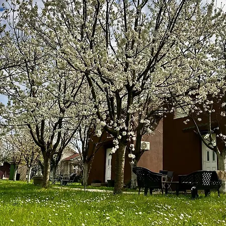 Tiny House 2 - Imanje Terzic