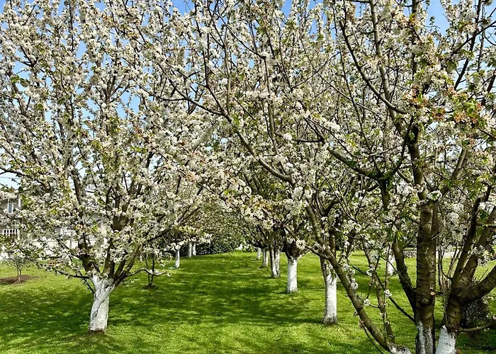 Tiny House 2 - Imanje Terzic *