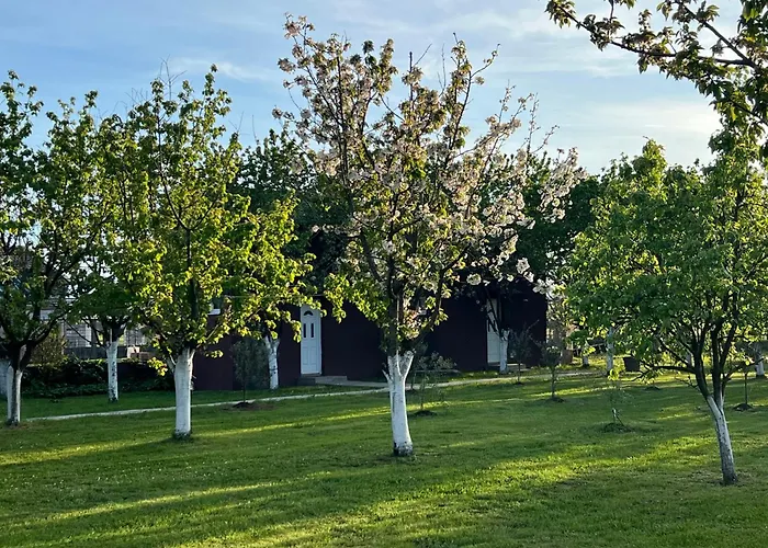 Appartement Tiny House 2 - Imanje Terzic