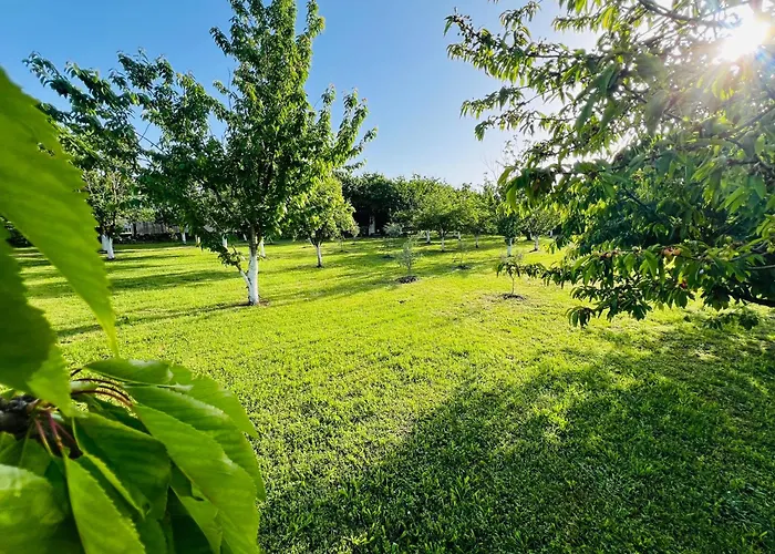 Tiny House 2 - Imanje Terzic *