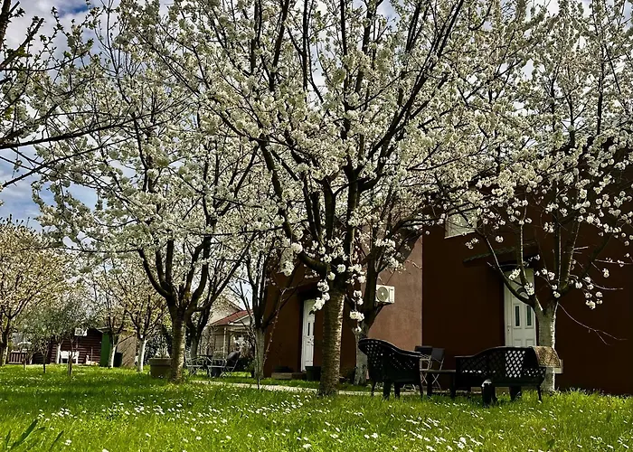 Tiny House 2 - Imanje Terzic